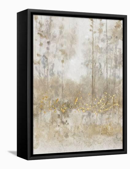 Thicket of Trees III-Tim OToole-Framed Stretched Canvas