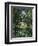 Thicket: The House of Argenteuil-Claude Monet-Framed Giclee Print