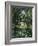 Thicket: The House of Argenteuil-Claude Monet-Framed Giclee Print