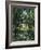 Thicket: The House of Argenteuil-Claude Monet-Framed Giclee Print