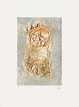 Fresque Ocre II-Thierry Buisson-Framed Limited Edition