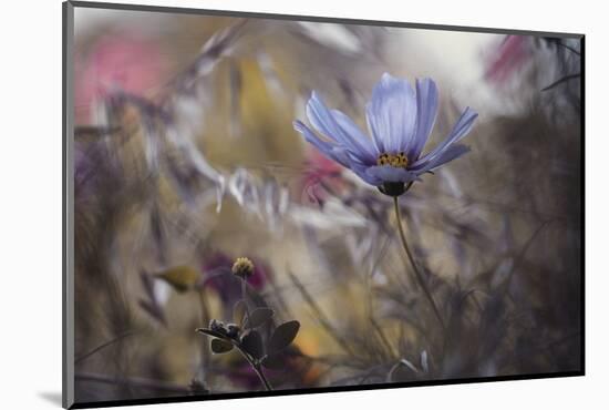 Things that flowers tell-Fabien BRAVIN-Mounted Photographic Print