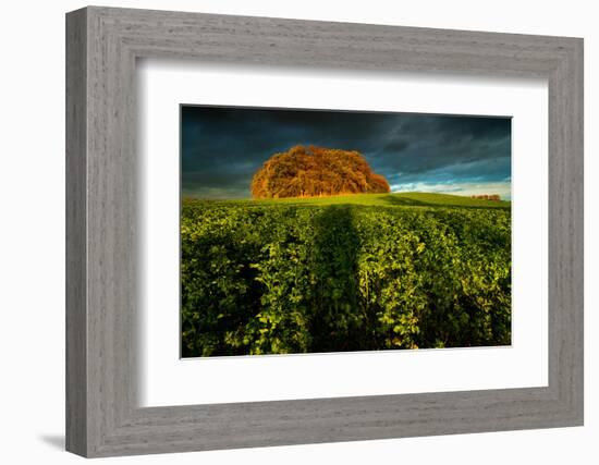 ThingstŠtte in Neuhorst at the Oldenburg Wall-Thomas Ebelt-Framed Photographic Print