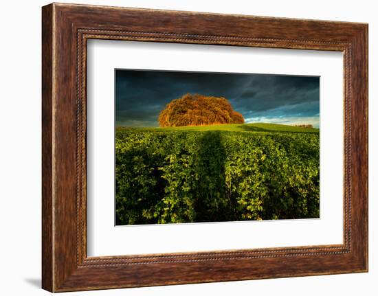 ThingstŠtte in Neuhorst at the Oldenburg Wall-Thomas Ebelt-Framed Photographic Print