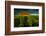 ThingstŠtte in Neuhorst at the Oldenburg Wall-Thomas Ebelt-Framed Photographic Print