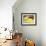 Think A Happy Thought Yellow Black Cat-Stephen Huneck-Framed Giclee Print displayed on a wall