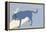 Think Big - Blue Version-Dog is Good-Framed Stretched Canvas