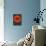 Think Big Dream Bigger Circle 1-NaxArt-Premium Giclee Print displayed on a wall