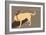 Think Big - Naturals Version-Dog is Good-Framed Art Print