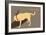 Think Big - Naturals Version-Dog is Good-Framed Art Print