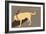 Think Big - Naturals Version-Dog is Good-Framed Art Print