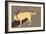 Think Big - Naturals Version-Dog is Good-Framed Art Print