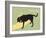 Think Big-Dog is Good-Framed Art Print