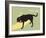 Think Big-Dog is Good-Framed Art Print