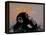 Thinker Monkey-The Graffiti Collection-Framed Premier Image Canvas