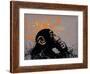 Thinker Monkey-Banksy-Framed Giclee Print