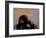 Thinker Monkey-The Graffiti Collection-Framed Giclee Print