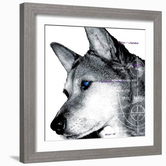 Thinking Dog-Meiya Y-Framed Giclee Print