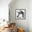 Thinking Dog-Meiya Y-Framed Giclee Print displayed on a wall