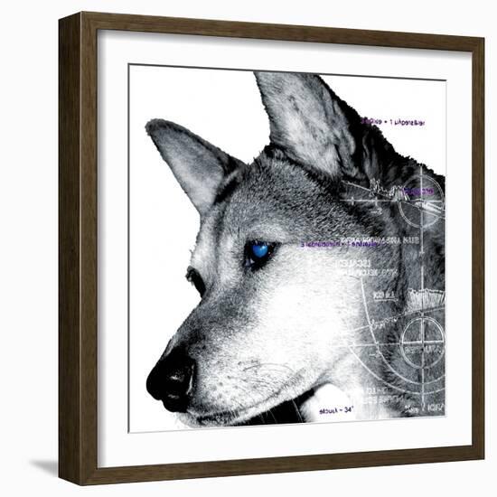 Thinking Dog-Meiya Y-Framed Giclee Print