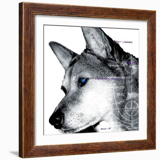 Thinking Dog-Meiya Y-Framed Giclee Print