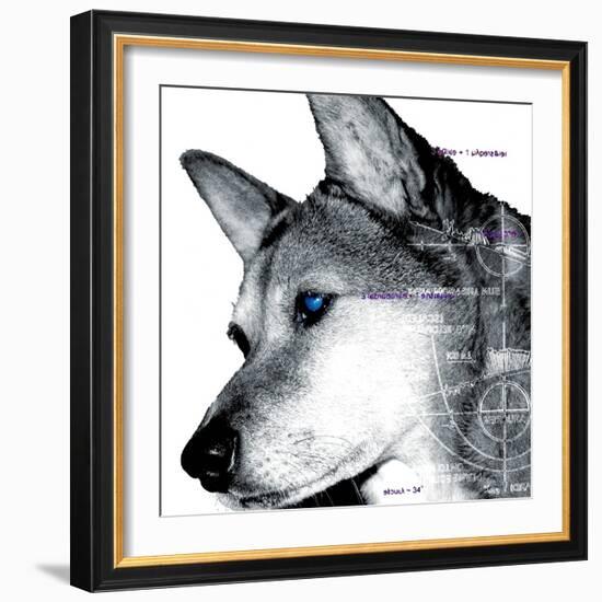 Thinking Dog-Meiya Y-Framed Giclee Print