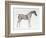 Third Anatomical Table, from "The Anatomy of the Horse"-George Stubbs-Framed Giclee Print