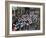 Third Stage of Tour de France, Leaving Old-Port Marseille, July 7, 2009-null-Framed Photographic Print