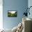 Thirlmere-John Glover-Framed Premier Image Canvas displayed on a wall