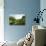 Thirlmere-John Glover-Giclee Print displayed on a wall