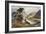 Thirlmere-Ernest W Haslehust-Framed Art Print