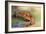 Thirsty-Pim Leijen-Framed Photographic Print