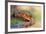 Thirsty-Pim Leijen-Framed Photographic Print