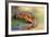 Thirsty-Pim Leijen-Framed Photographic Print