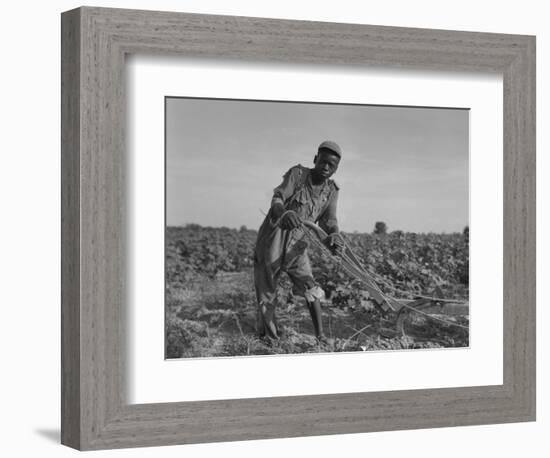 Thirteen-Year Old African American Sharecropper Boy Plowing in July 1937-Dorothea Lange-Framed Art Print