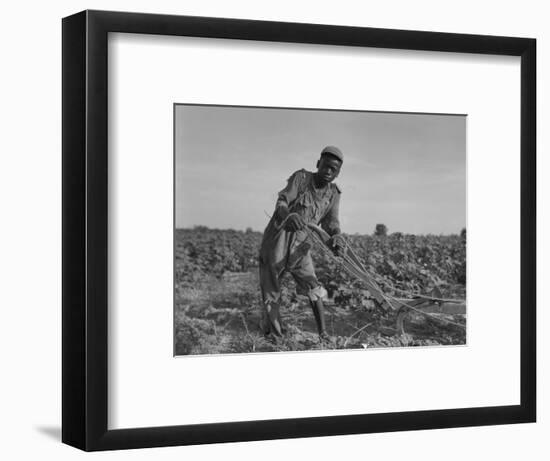 Thirteen-Year Old African American Sharecropper Boy Plowing in July 1937-Dorothea Lange-Framed Art Print