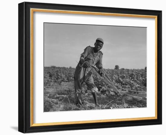 Thirteen-Year Old African American Sharecropper Boy Plowing in July 1937-Dorothea Lange-Framed Art Print