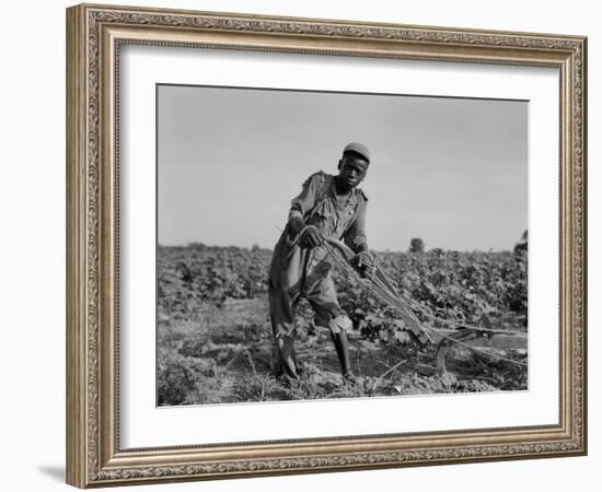 Thirteen-year old sharecropper boy near Americus, Georgia, 1937-Dorothea Lange-Framed Photographic Print