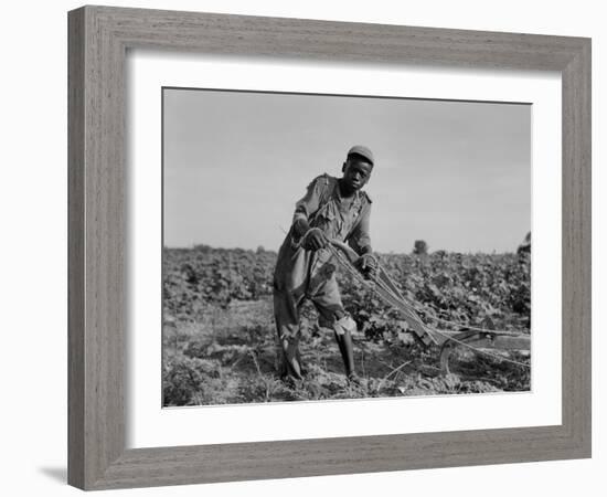 Thirteen-year old sharecropper boy near Americus, Georgia, 1937-Dorothea Lange-Framed Photographic Print