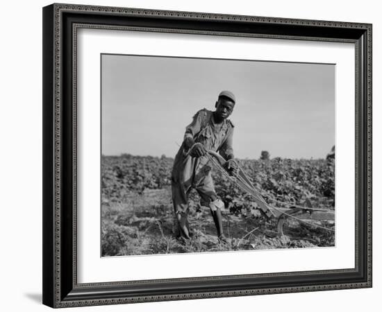 Thirteen-year old sharecropper boy near Americus, Georgia, 1937-Dorothea Lange-Framed Photographic Print