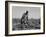 Thirteen-year old sharecropper boy near Americus, Georgia, 1937-Dorothea Lange-Framed Photographic Print
