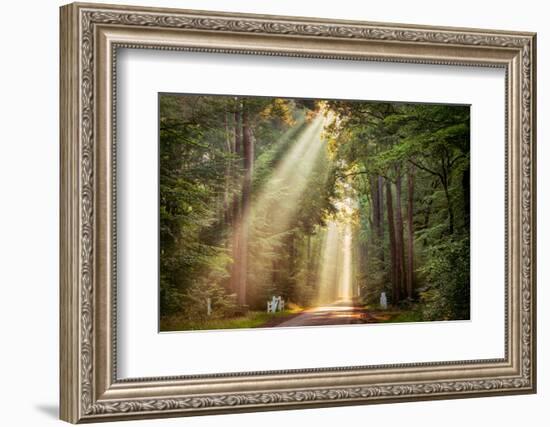 This Beam is Booming-Lars Van de Goor-Framed Photographic Print