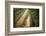 This Beam is Booming-Lars Van de Goor-Framed Photographic Print