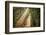 This Beam is Booming-Lars Van de Goor-Framed Photographic Print