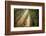 This Beam is Booming-Lars Van de Goor-Framed Photographic Print