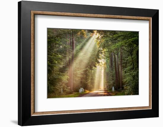 This Beam is Booming-Lars Van de Goor-Framed Photographic Print