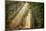 This Beam is Booming-Lars Van de Goor-Mounted Photographic Print