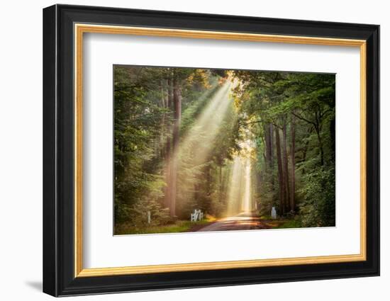 This Beam is Booming-Lars Van de Goor-Framed Photographic Print