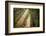 This Beam is Booming-Lars Van de Goor-Framed Photographic Print