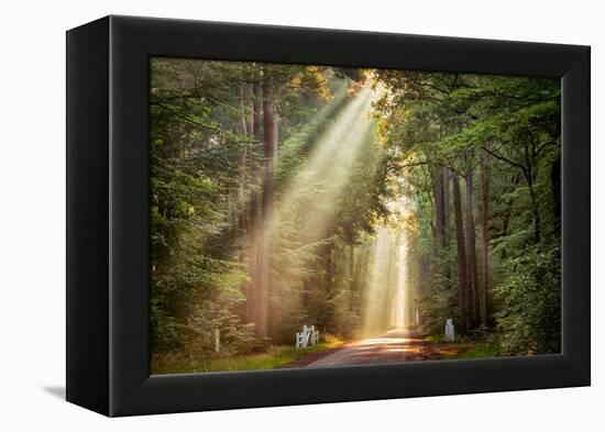 This Beam is Booming-Lars Van de Goor-Framed Premier Image Canvas